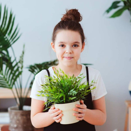 Plant Pals - 3 Months of Plants For Kids