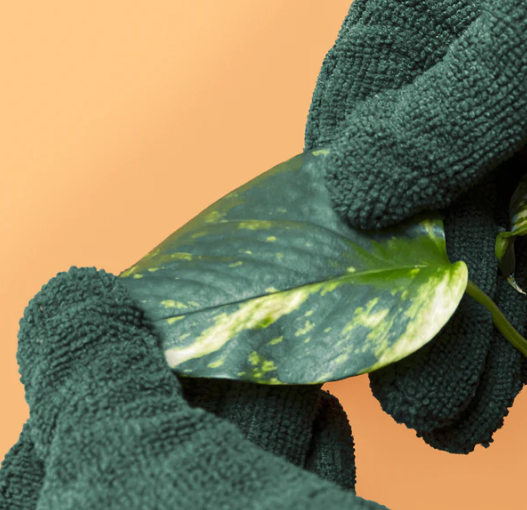 Leaf Cleaning Gloves