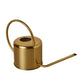 Brass Watering Can