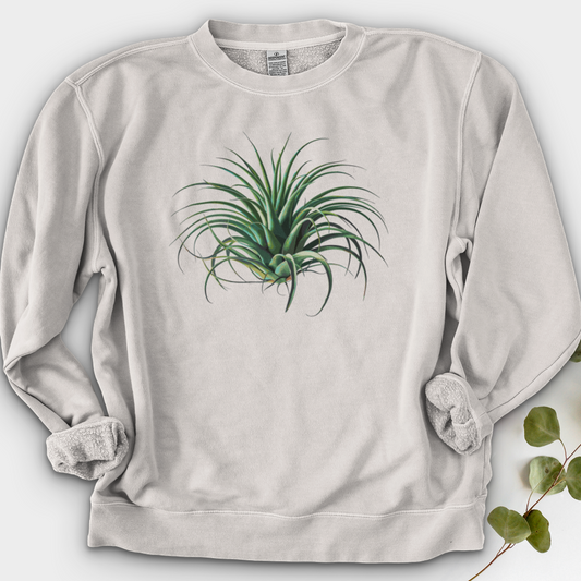 Air Plant 2 Crewneck