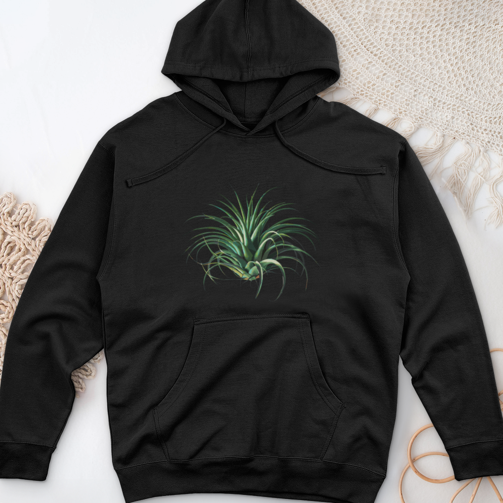 Air Plant 2 Midweight Hooded Sweatshirt