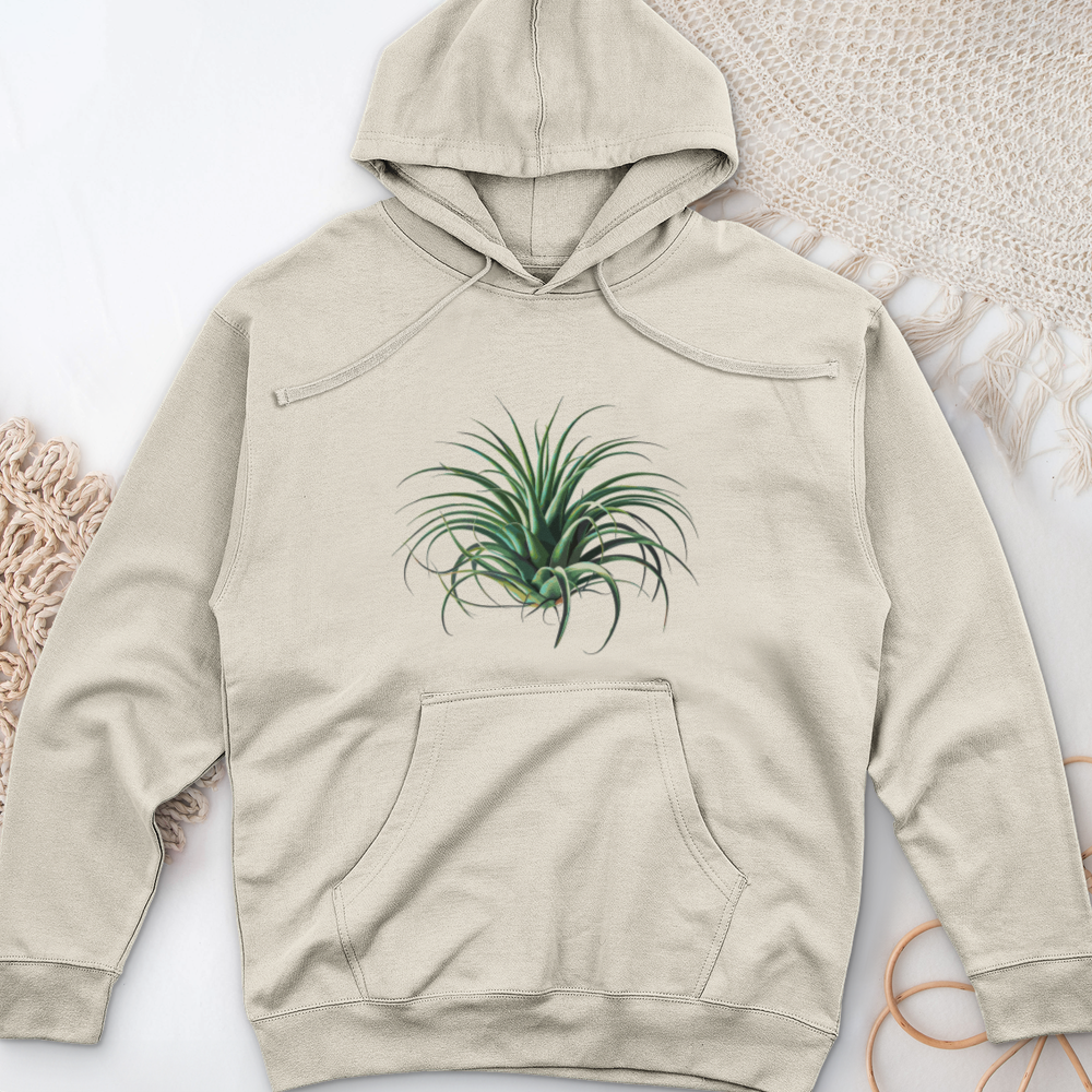 Air Plant 2 Midweight Hooded Sweatshirt