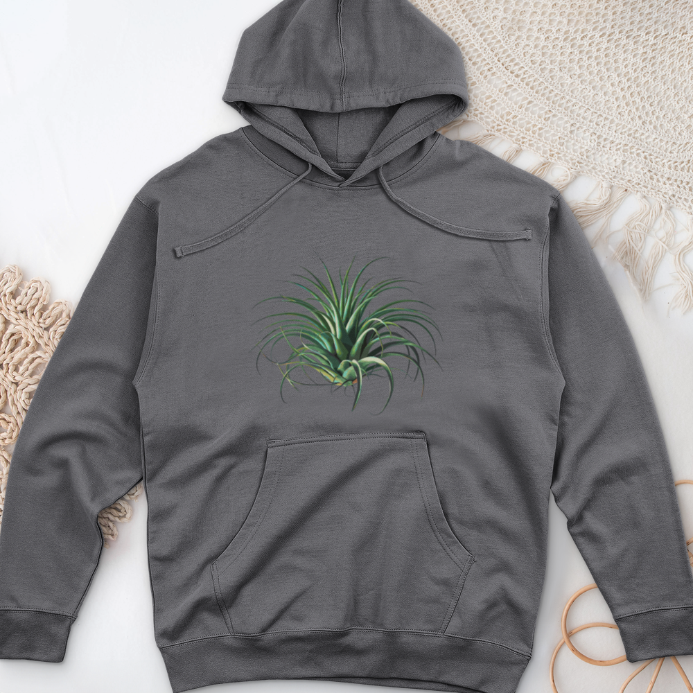 Air Plant 2 Midweight Hooded Sweatshirt