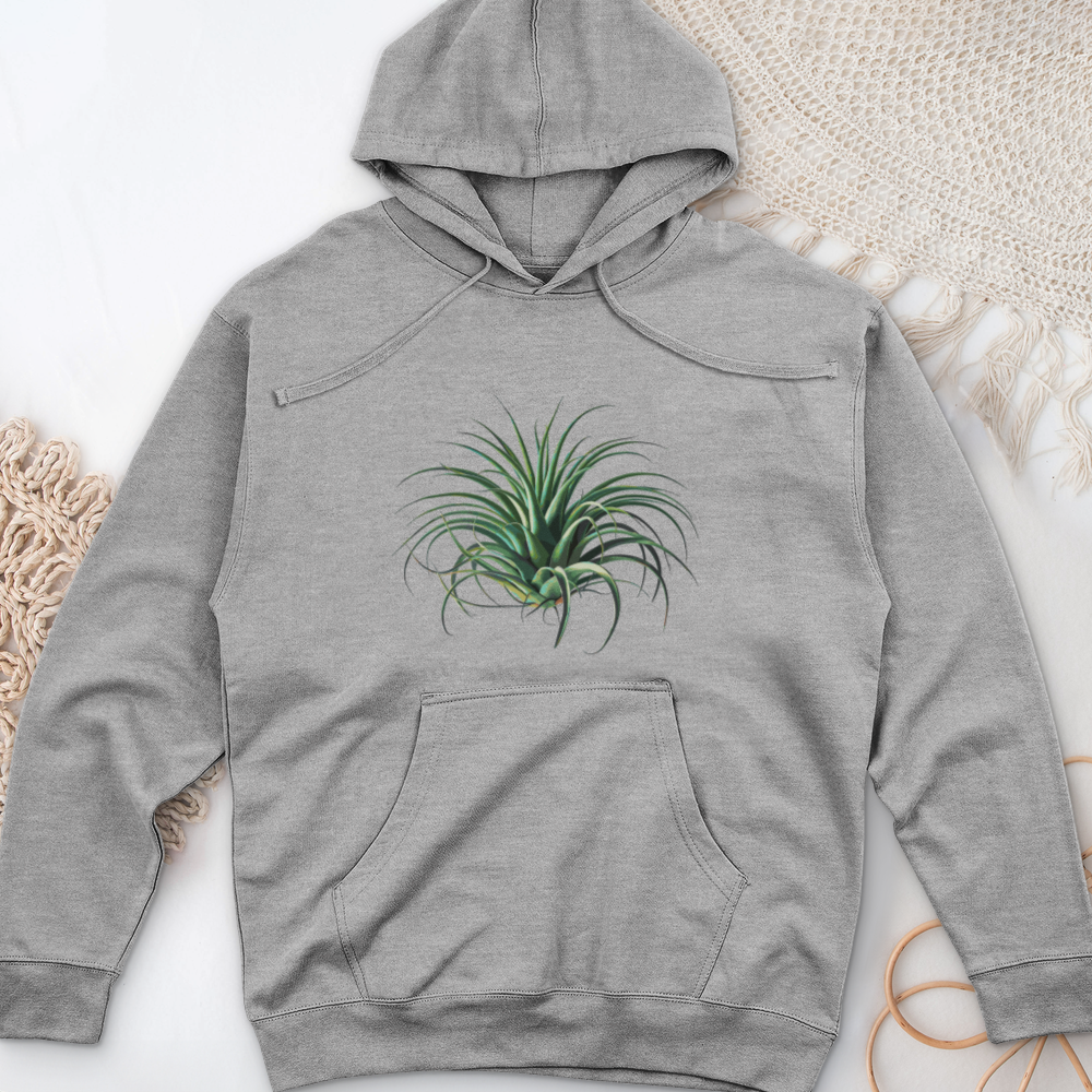 Air Plant 2 Midweight Hooded Sweatshirt