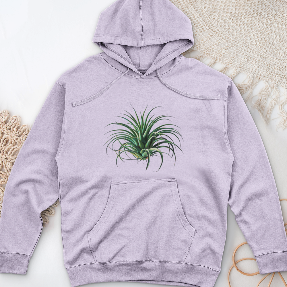 Air Plant 2 Midweight Hooded Sweatshirt