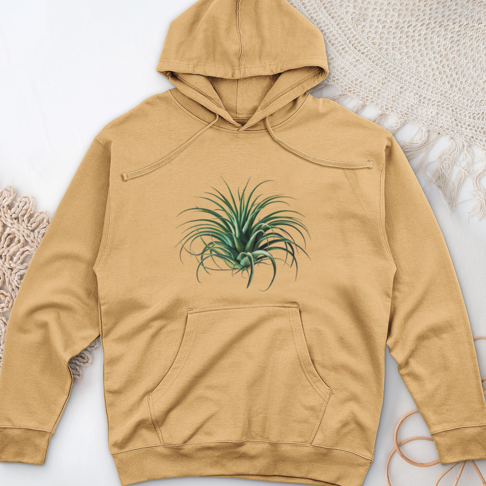 Air Plant 2 Midweight Hooded Sweatshirt