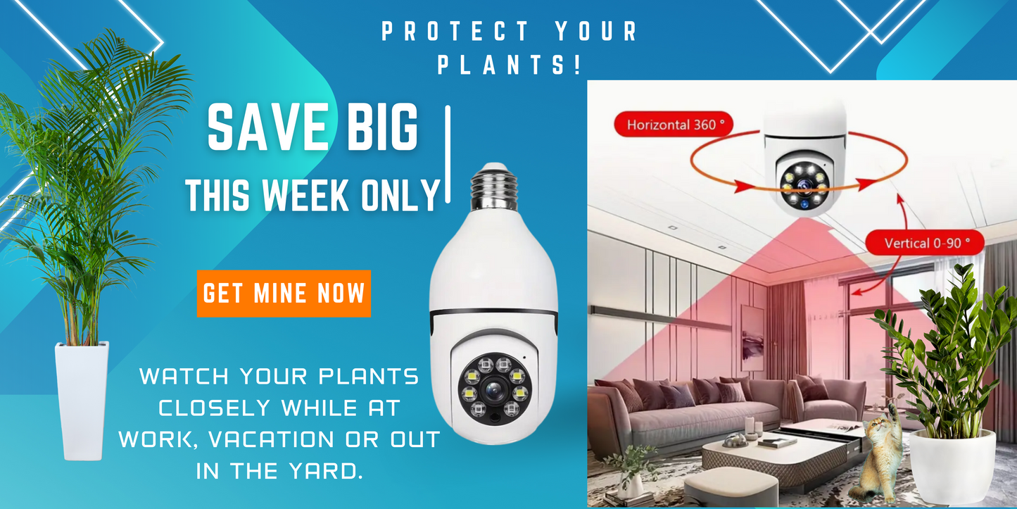 PlantWatch Light Bulb: The Ultimate Camera Light Bulb for Houseplant Lovers