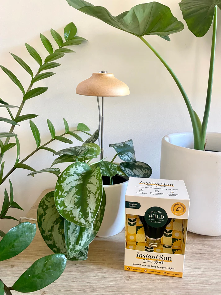 Instant Sun Grow Lamp